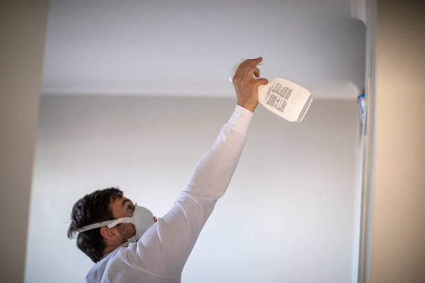 Best Residential Mold Removal  in Oskaloosa, IA