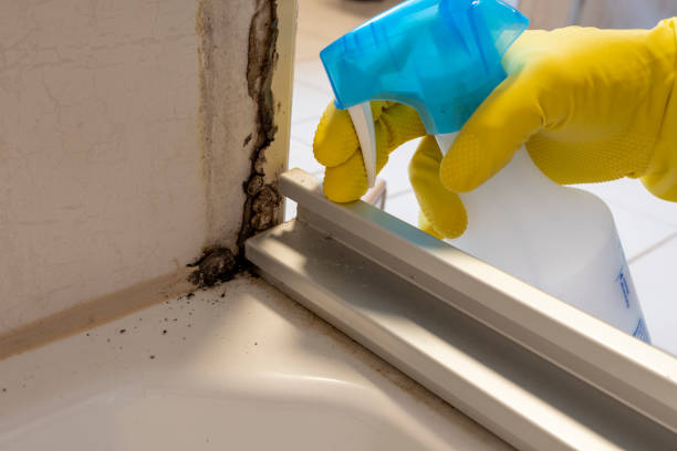 Crawl Space Mold Removal in Oskaloosa, IA