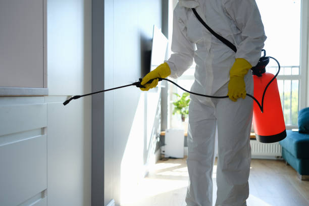 Best Mold Remediation Experts  in Oskaloosa, IA