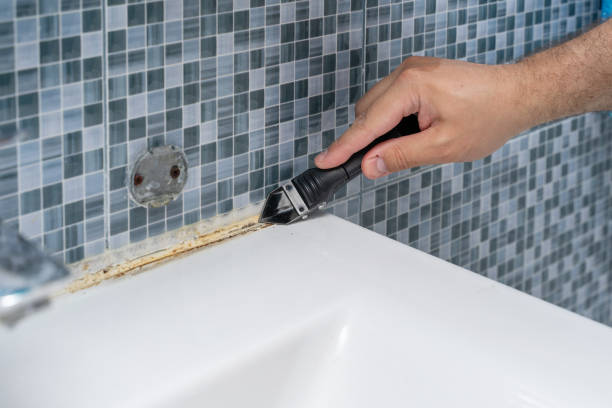 Best Mold Inspection  in Oskaloosa, IA